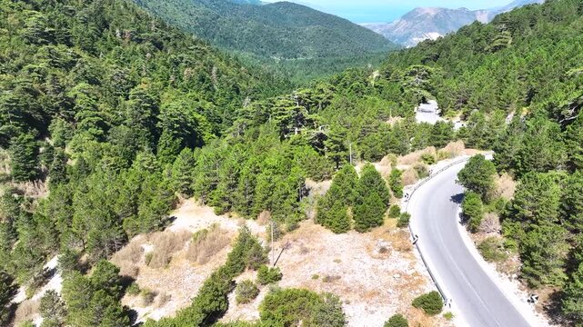 Albania Llogara national park pine trees forest, road pas