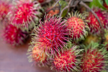 A vibrant collection of rambutan tropical fruits.
