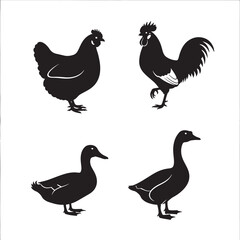 Farm animal silhouettes chicken rooster duck and goose isolated on white background vector illustration