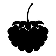 Silhouette of a fresh blackberry fruit, a sweet and healthy treat