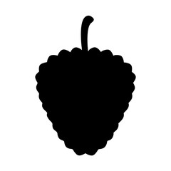 A bold black silhouette of a vibrant and luscious raspberry fruit