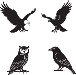Obraz premium Four birds silhouettes isolated on white background representing different species of birds