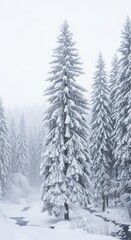 Naklejka premium Serene winter wonderland of snow-covered pine forest and gentle stream