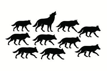 wolves walking