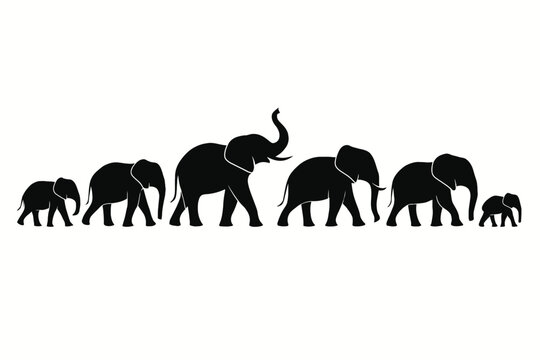 elefant walking