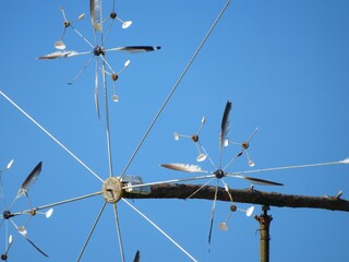 an artful metal weatherwave that moves with the wind against the sky