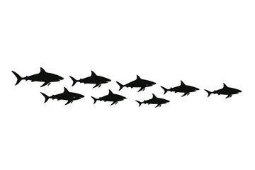 sharks swimming