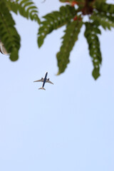 Passenger airplane captured from below, flying across a clear blue sky with green leaves in the foreground.