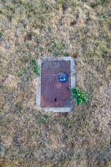 Water Meter in Parched Grass: Urban Utility Amidst Dry Conditions