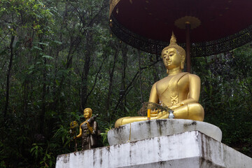 Buddha Statue is surrounded by lush greenery.