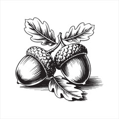 Hand Drawn Acorn Illustration Black and White,Vintage Acorn Sketch Isolated on White,Detailed Acorn Drawing in Engraving Style,Botanical Acorn Artwork in Line Art Style,Classic Acorn Vector in Hand
