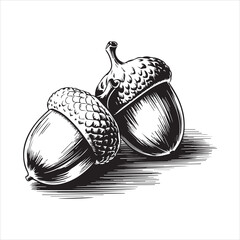 Hand Drawn Acorn Illustration Black and White,Vintage Acorn Sketch Isolated on White,Detailed Acorn Drawing in Engraving Style,Botanical Acorn Artwork in Line Art Style,Classic Acorn Vector in Hand