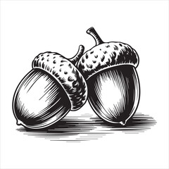 Hand Drawn Acorn Illustration Black and White,Vintage Acorn Sketch Isolated on White,Detailed Acorn Drawing in Engraving Style,Botanical Acorn Artwork in Line Art Style,Classic Acorn Vector in Hand