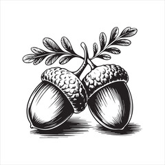 Hand Drawn Acorn Illustration Black and White,Vintage Acorn Sketch Isolated on White,Detailed Acorn Drawing in Engraving Style,Botanical Acorn Artwork in Line Art Style,Classic Acorn Vector in Hand
