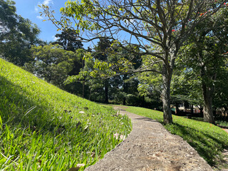Camino entre arboles rodeado de naturaleza. Toma Horizontal. Fotografía de viaje con teléfono móvil.