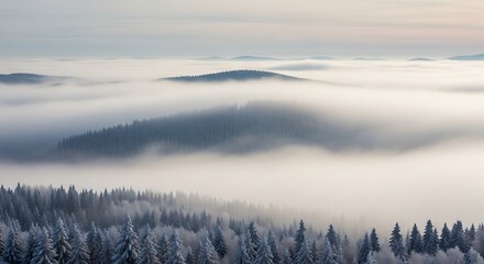 Winter Forest Landscape with Fog and Hills.