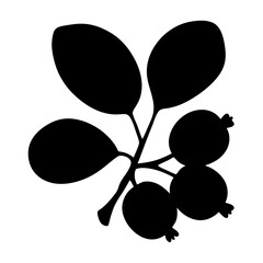 Silhouette of berries and leaves on a stem, stark black and white design