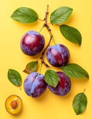 A vibrant arrangement of fresh plums on a bright yellow background, showcasing the rich color variations and branch of leaves.