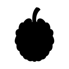 Silhouette illustration of a blackberry or raspberry against a white background