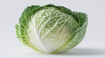 Obraz premium Savoy cabbage head, textured green & white leaves, isolated on light background