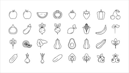 Modern and versatile vector graphic design featuring a palette of vibrant colors and clean typography for various applications