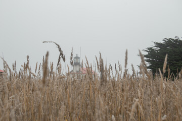 Light that will guide us 