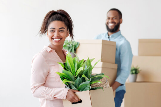Happy young african american female and male carry cardboard boxes with plants to room with white walls, free space. Couple enjoying move, packing up for relocation in new apartment, home, flat - Powered by Adobe