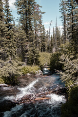Water path in nature