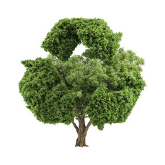 Tree shaped as a recycle symbol, leaves lush & green
