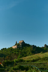 Obraz premium Photo of medieval castle ruins on a hill, viewed over vineyard terraces and a forested hill under a clear blue sky. Scenic and historic landscape.