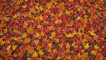 Crimson, gold, and russet leaves swirling on a brisk autumn breeze , colors, forest