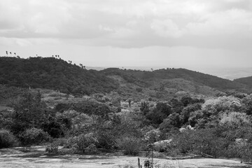 Fototapeta premium PAISAGEM DE UMA ERRA COM MONTANHAS EM UM CÉU AZUL LINDO, E VARIAS ARVORES (LANDSCAPE OF A LAND WITH MOUNTAINS IN A BEAUTIFUL BLUE SKY, AND SEVERAL TREES)