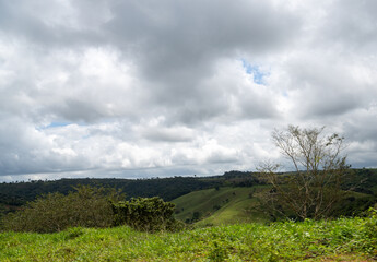 Montanhas formando uma linda paisagem, com árvores e um verde exuberante entre elas (Mountains forming a beautiful landscape, with trees and lush greenery between them)