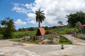 LINDA CASA COM UMA ARVORE DE PALMEIRA AO SEU REDOR E UMA CÉU MARAVILHOSO