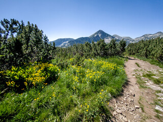 Obraz premium Pirin Mountain near Popovo Lake, Bulgaria