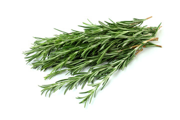 Twigs of fresh rosemary isolated on white background, closeup