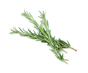 Fototapeta premium Twigs of fresh rosemary isolated on white background, closeup