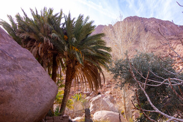 A collection of shots capturing the rugged, spiritual, and beautiful landscapes of the St. Catherine area in Egypt's Sinai Peninsula.