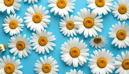 A vibrant display of white daisies with yellow centers arranged in a captivating pattern against a bright, airy blue background.