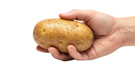 A person's hand holding a raw potato with a few specks and brown eyes against a white background