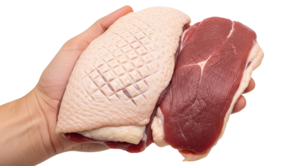 Raw Duck Breast Fillet With Skin Scored Held In Hand For Preparation And Cooking