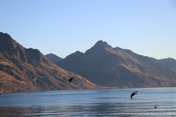 クイーンズタウン（ニュージーランド）