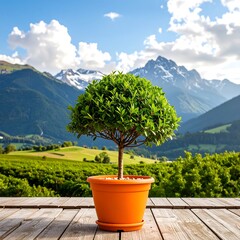 Lush green topiary in an orange pot, set against a backdrop of rolling hills and snow-capped mountains, evokes a peaceful, serene mood.