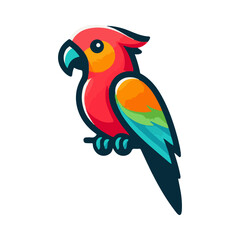
parrot illustration design