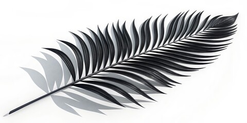 Fototapeta premium Monochromatic Palm Leaf Composition Shadow Play and Minimalist Design, palm leaf, black and white photography