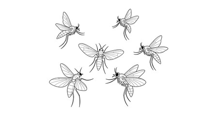 Mosquito Outlines on White Background