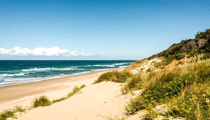 Sandy beach meets ocean under a clear sky