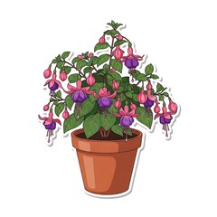 Cartoon fuchsia plant with pink and purple flowers in a terracotta pot