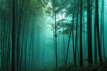 Fototapeta premium Mystical Bamboo Forest A Serene Retreat into Nature's Embrace