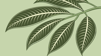 Smooth Waxy Surface Plant Leaf Nature Organic Detail Pattern